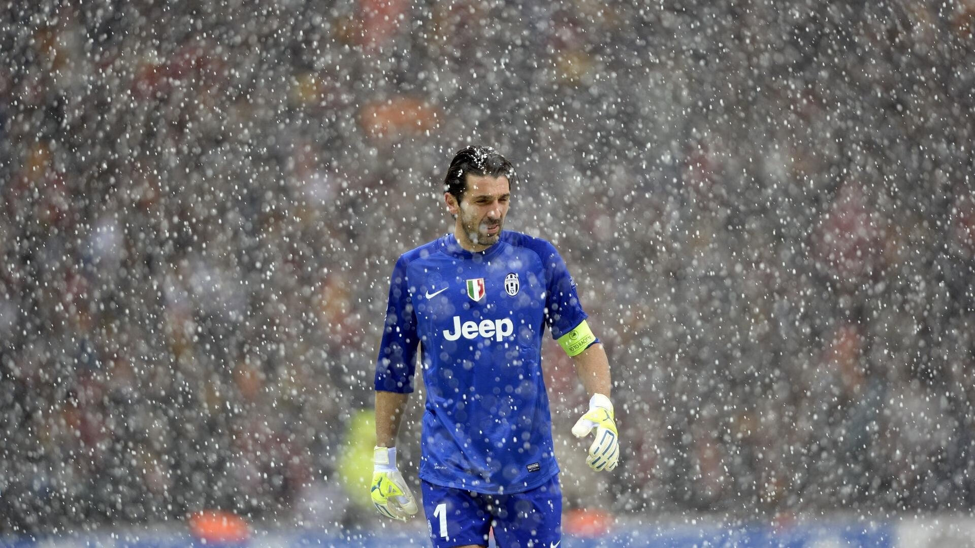 威尔士橄榄球赛事转播吸引观众，市场份额逐年攀升，威尔士 球队